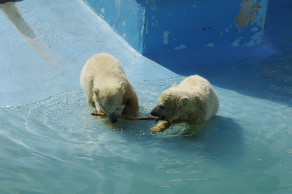 ���񂽂Ƃ���̂����낤��