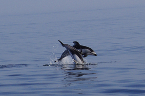 ���񂽂Ƃ���̂����낤��