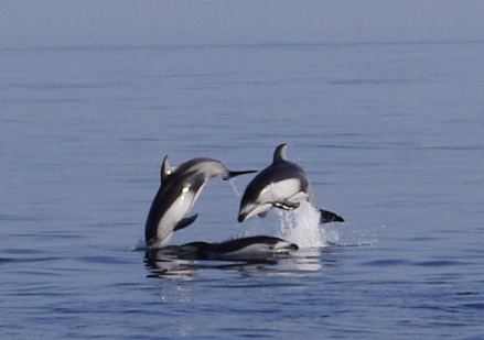 ���񂽂Ƃ���̂����낤��