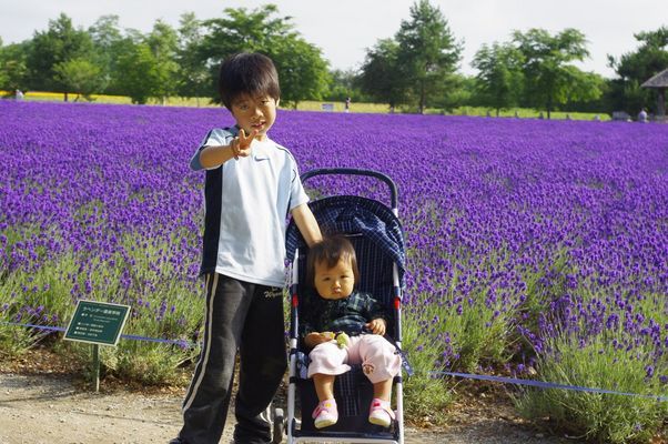 ���񂽂Ƃ���̂����낤��