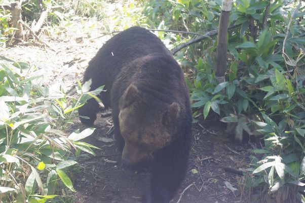 ���񂽂Ƃ���̂����낤��