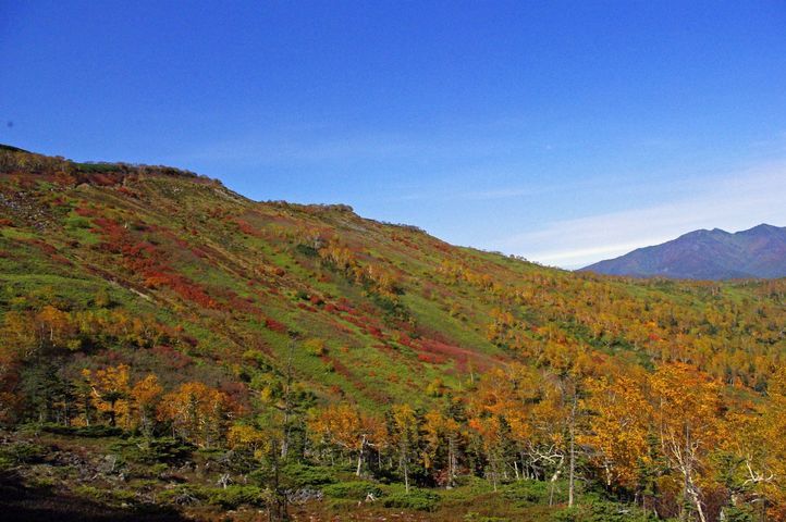 ���񂽂Ƃ���̂����낤��