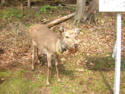 ���񂽂Ƃ���̂����낤��