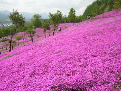 ���񂽂Ƃ���̂����낤��