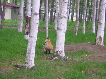 ���񂽂Ƃ���̂����낤��