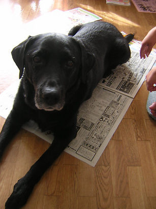 ���񂽂Ƃ���̂����낤��