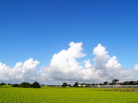 ���񂽂Ƃ���̂����낤��