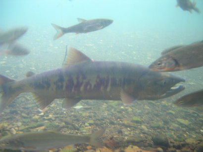 ���񂽂Ƃ���̂����낤��