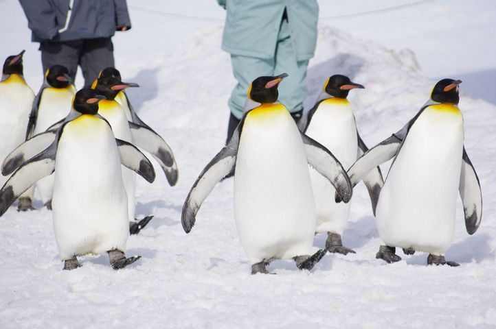 ���񂽂Ƃ���̂����낤��