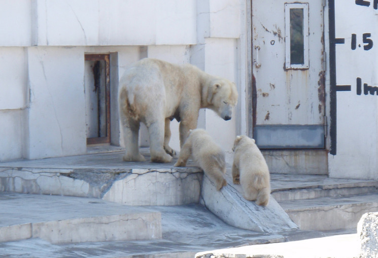 ���񂽂Ƃ���̂����낤��