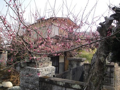 �����ʐM�[����l�b�g