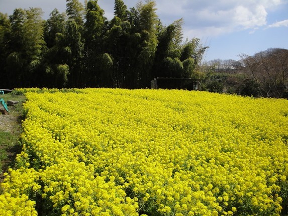 �����ʐM�[����l�b�g