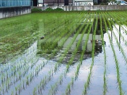 �����ʐM�[����l�b�g