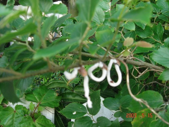 �����ʐM�[����l�b�g