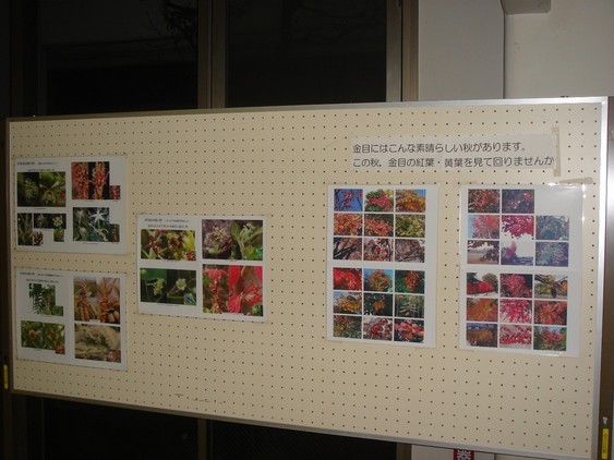 �����ʐM�[����l�b�g