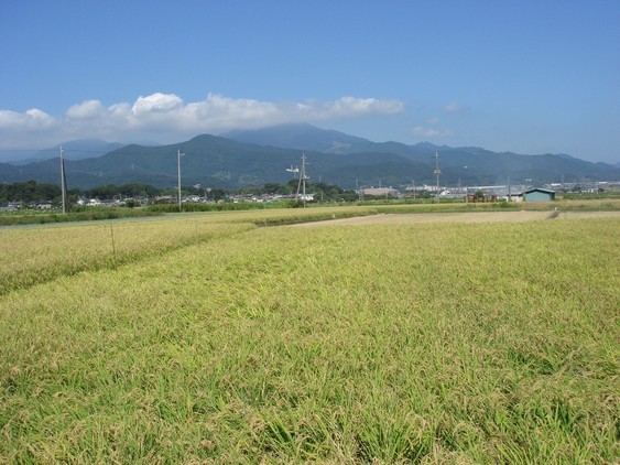 �����ʐM�[����l�b�g