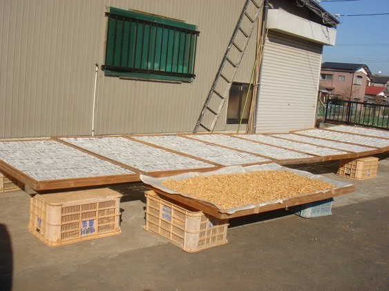 �����ʐM�[����l�b�g