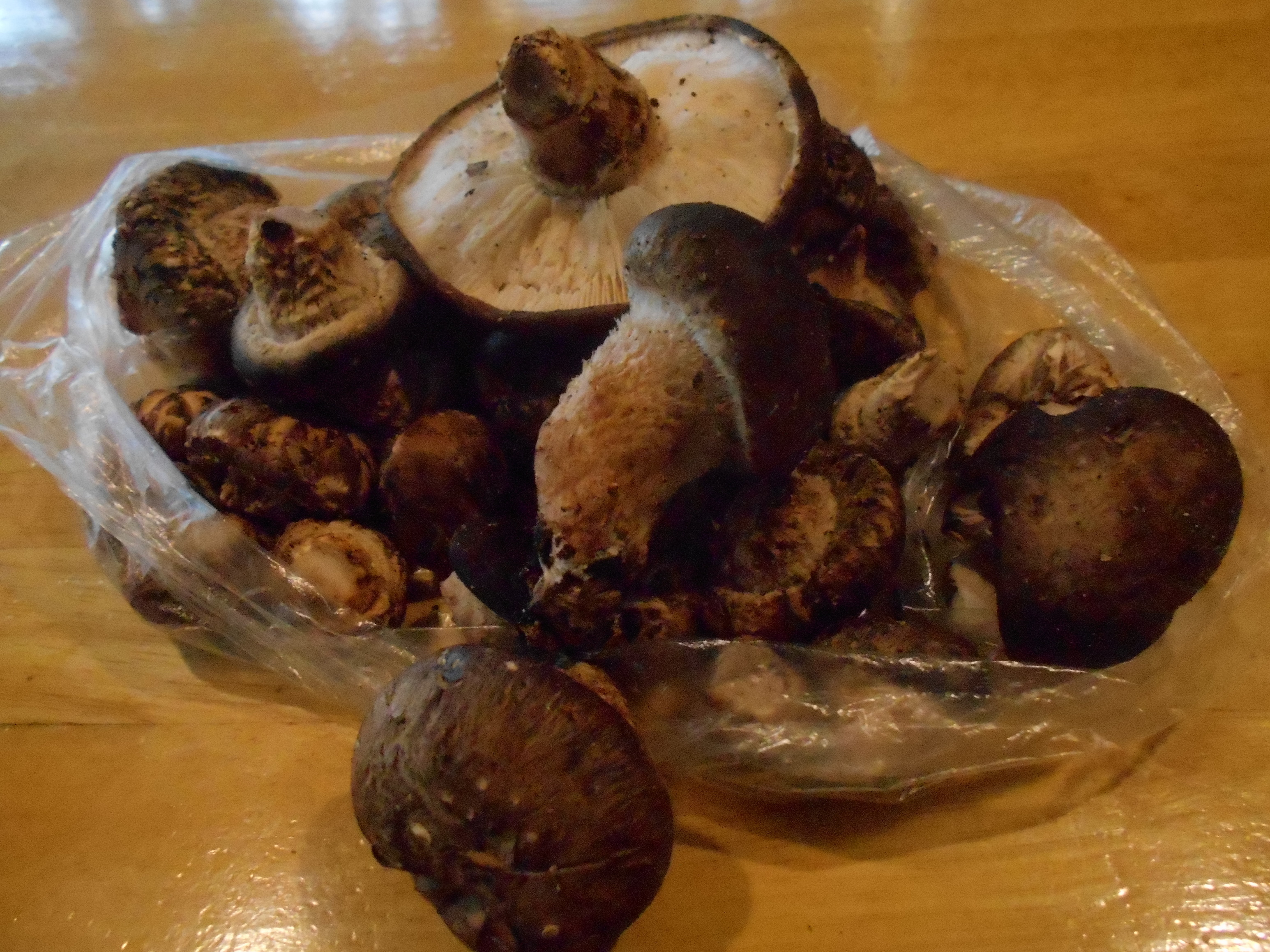 �t�����X�~�[�@���@�p�X�|�[�g