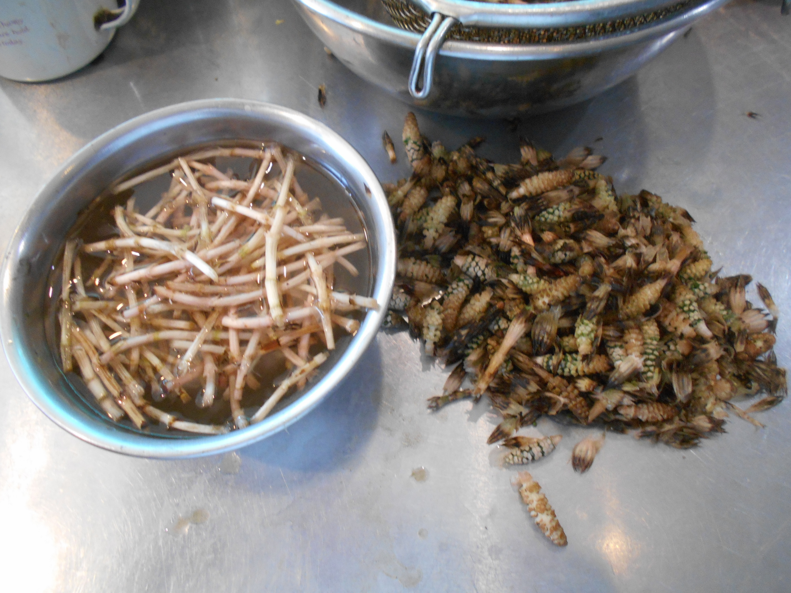 �t�����X�~�[�@���@�p�X�|�[�g