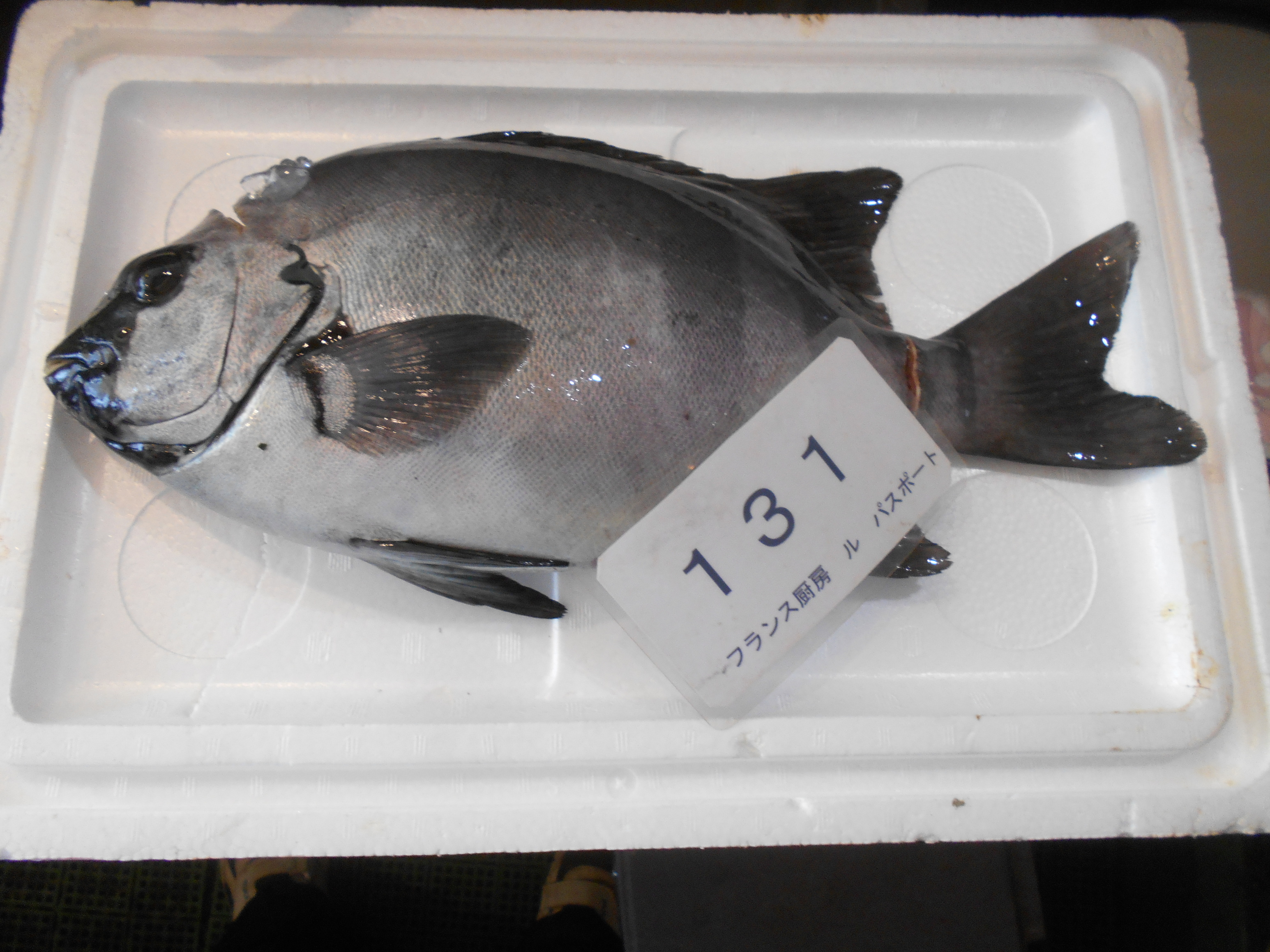 �t�����X�~�[�@���@�p�X�|�[�g