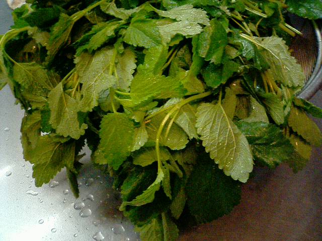 �t�����X�~�[�@���@�p�X�|�[�g