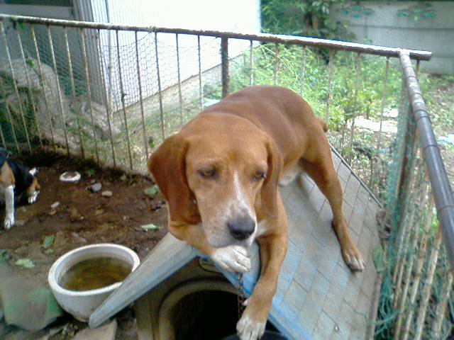 �t�����X�~�[�@���@�p�X�|�[�g