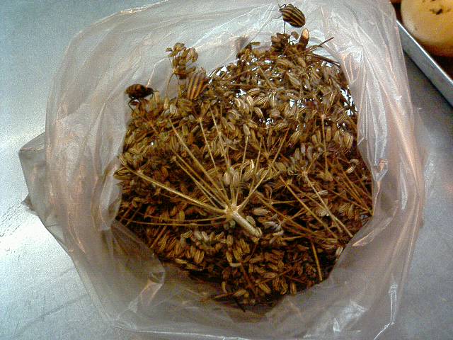 �t�����X�~�[�@���@�p�X�|�[�g