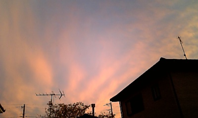 �ɂ����̑�