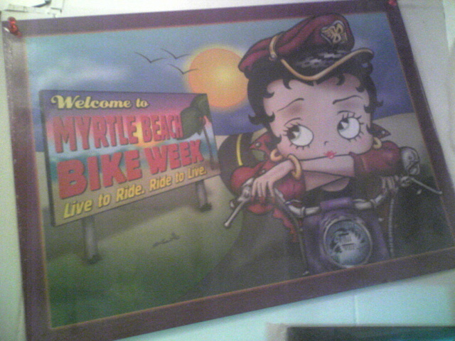 �G�݁��e�n�n�c�@�l�d�q�d�m�c�`