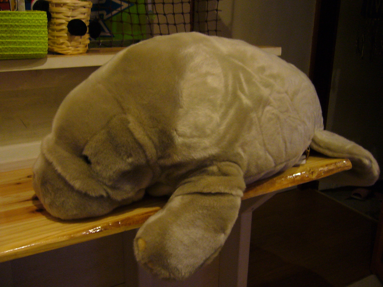 �G�݁��e�n�n�c�@�l�d�q�d�m�c�`