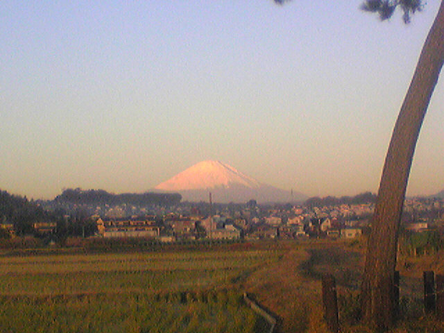 �G�݁��e�n�n�c�@�l�d�q�d�m�c�`