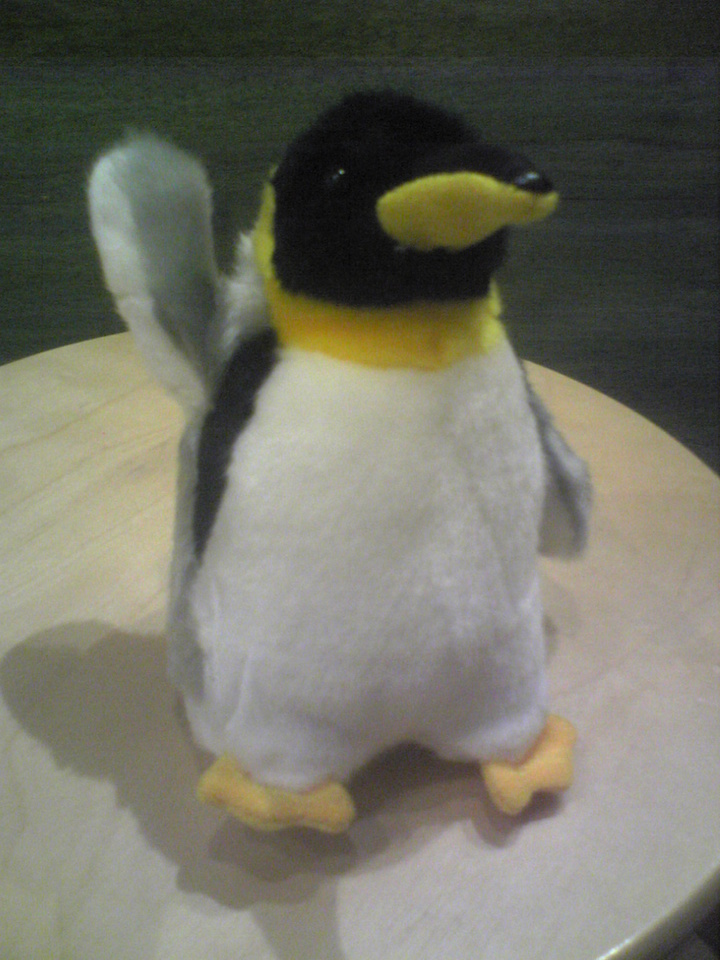 �G�݁��e�n�n�c�@�l�d�q�d�m�c�`