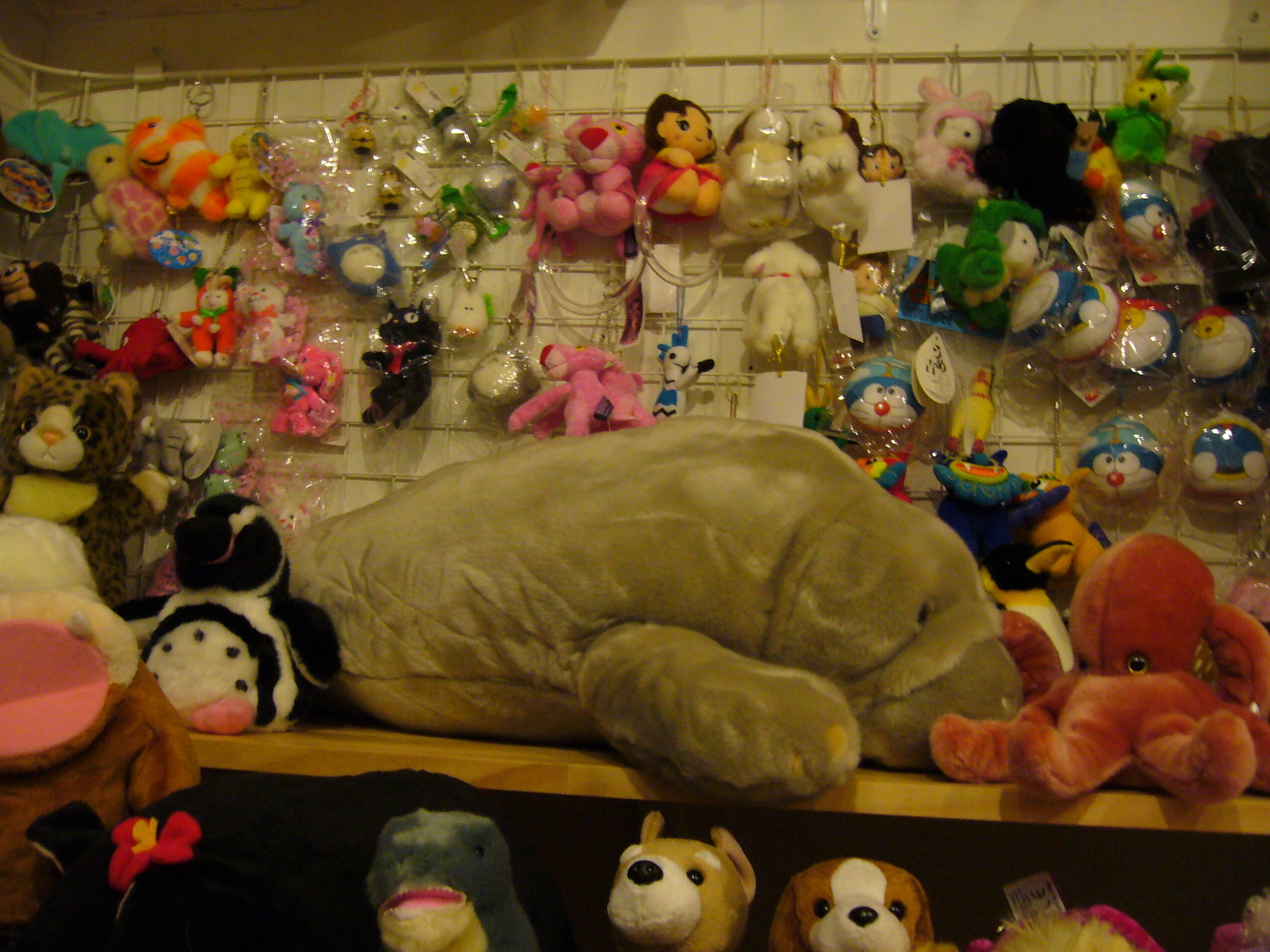 �G�݁��e�n�n�c�@�l�d�q�d�m�c�`