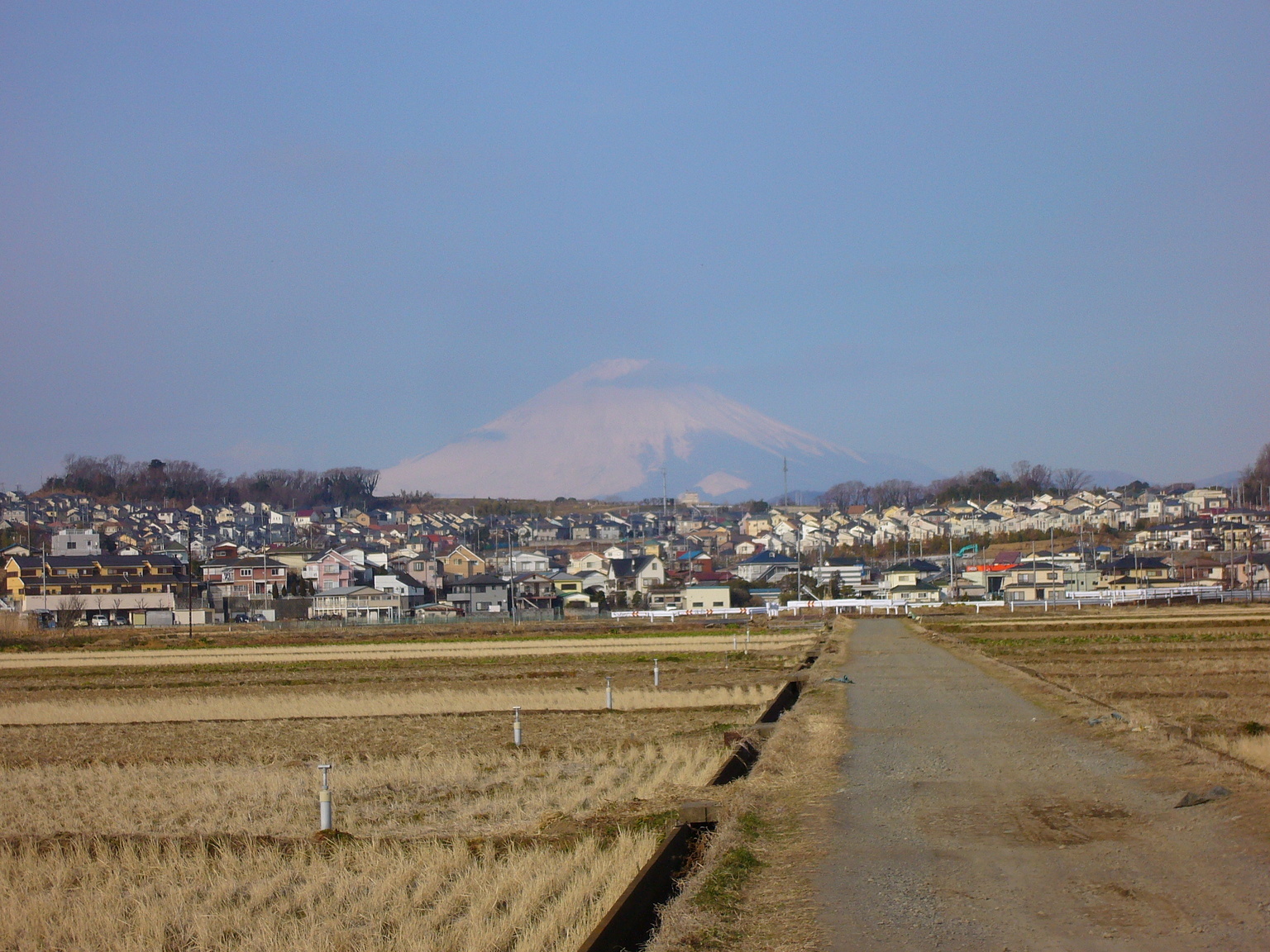 �G�݁��e�n�n�c�@�l�d�q�d�m�c�`