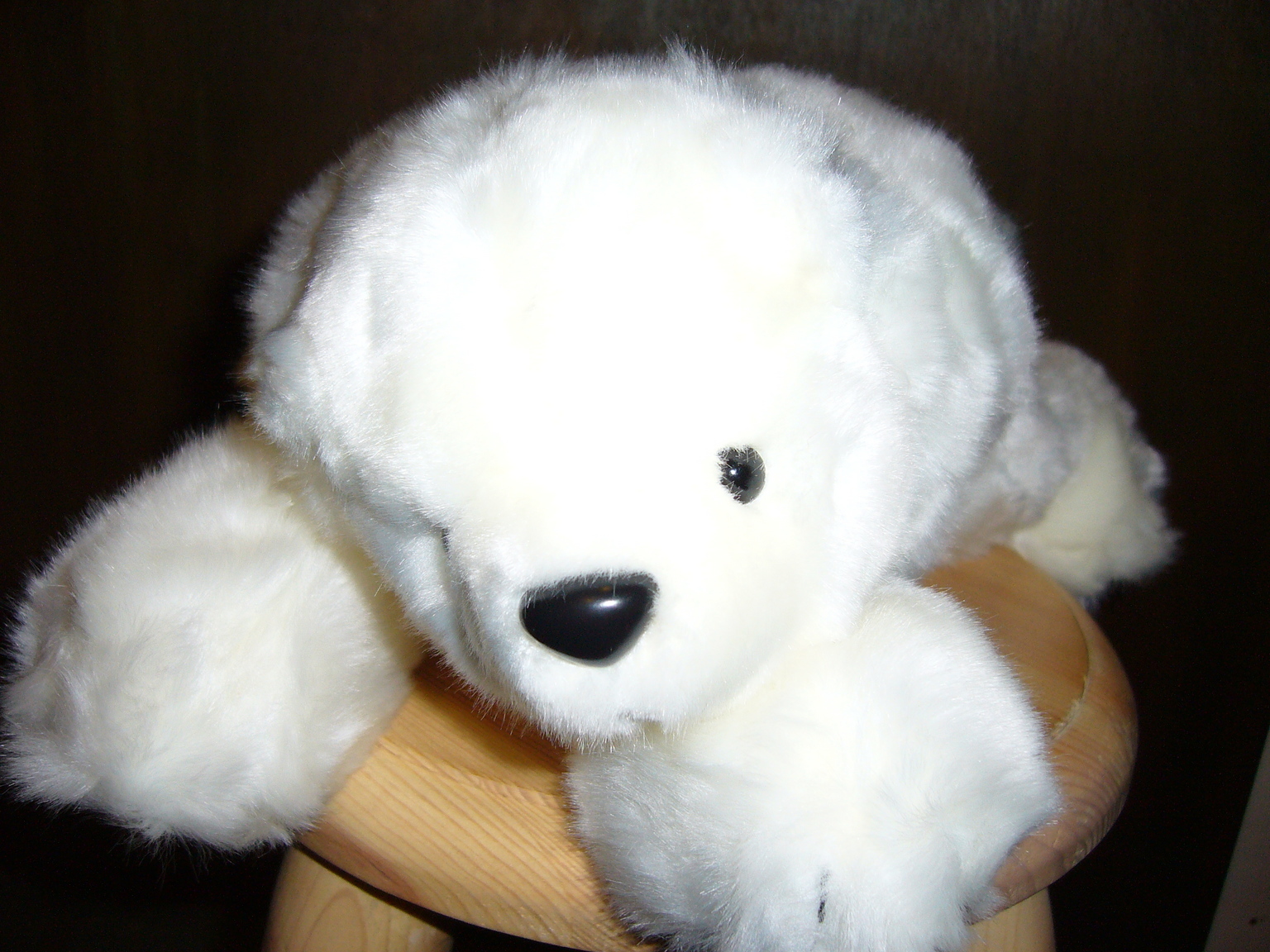 �G�݁��e�n�n�c�@�l�d�q�d�m�c�`