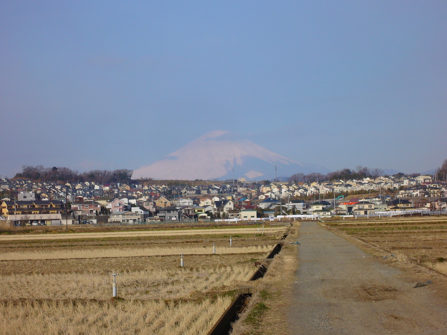 �G�݁��e�n�n�c�@�l�d�q�d�m�c�`