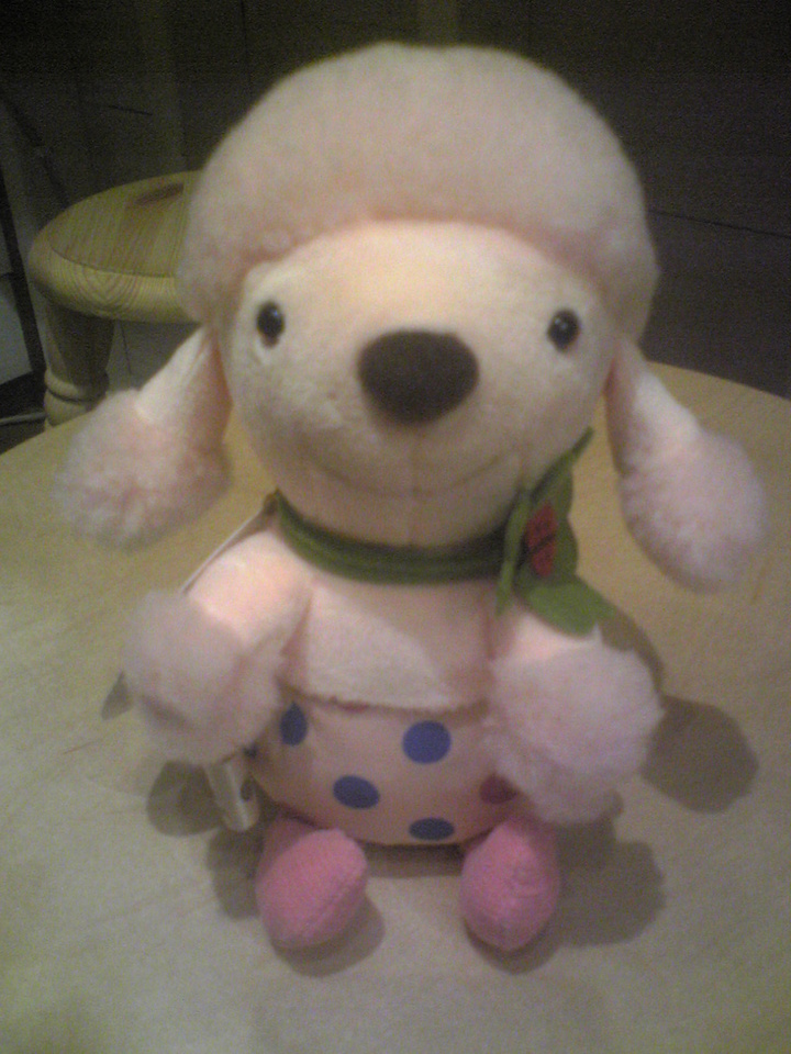 �G�݁��e�n�n�c�@�l�d�q�d�m�c�`