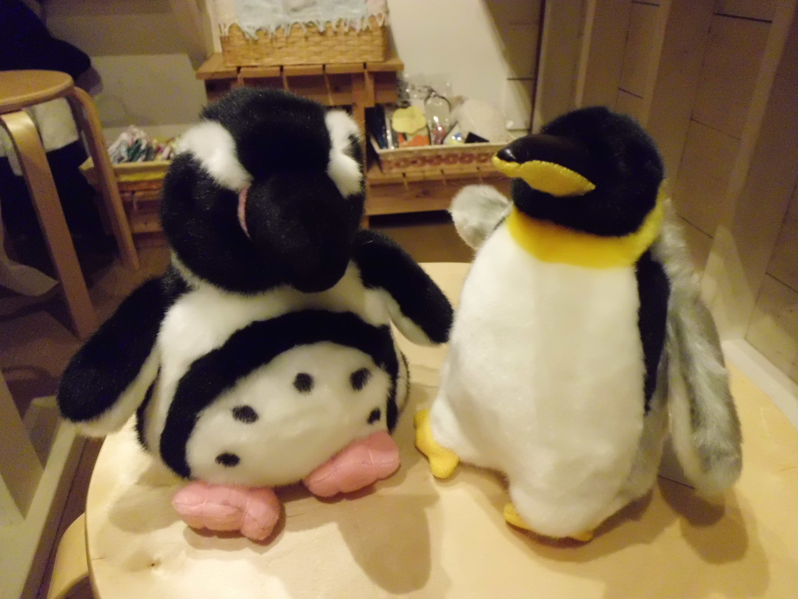 �G�݁��e�n�n�c�@�l�d�q�d�m�c�`