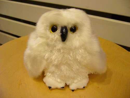 �G�݁��e�n�n�c�@�l�d�q�d�m�c�`