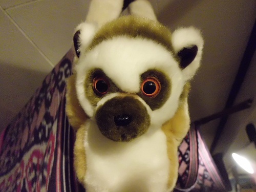 �G�݁��e�n�n�c�@�l�d�q�d�m�c�`