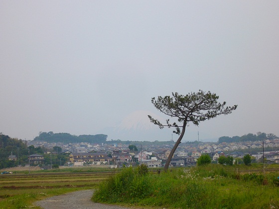 �G�݁��e�n�n�c�@�l�d�q�d�m�c�`