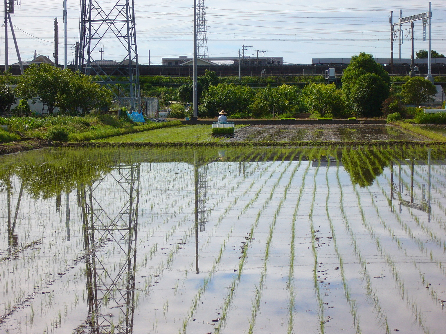 �G�݁��e�n�n�c�@�l�d�q�d�m�c�`