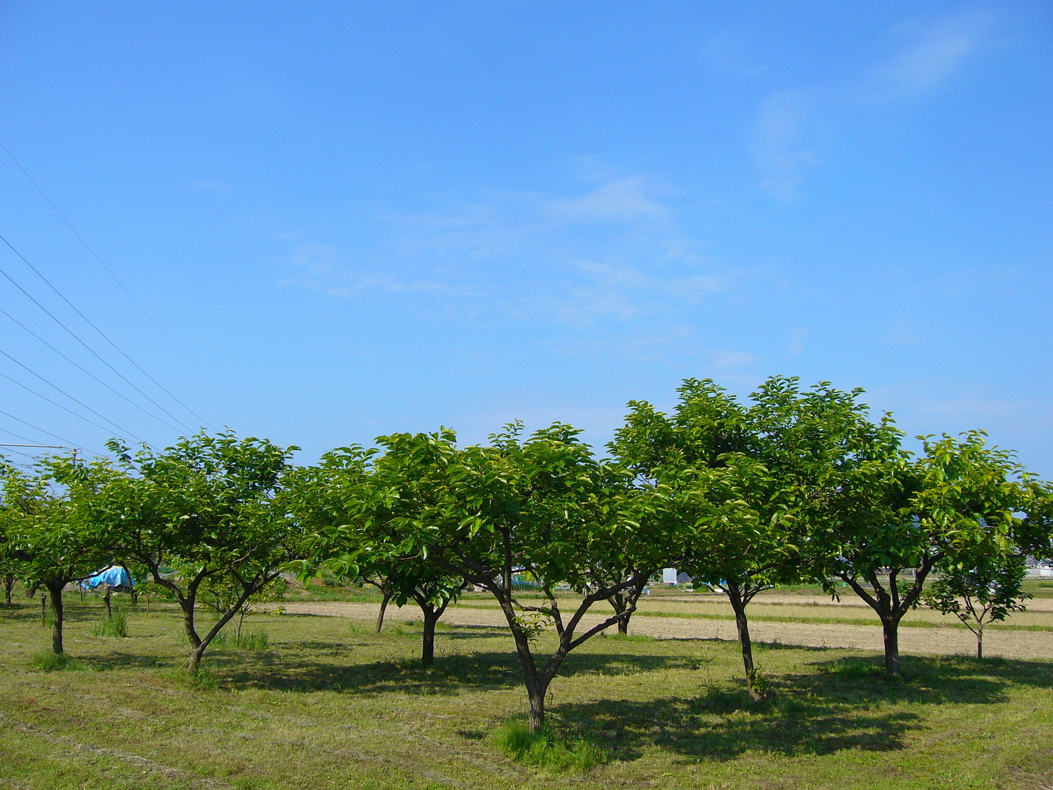 �G�݁��e�n�n�c�@�l�d�q�d�m�c�`