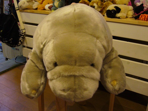 �G�݁��e�n�n�c�@�l�d�q�d�m�c�`