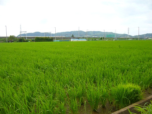 �G�݁��e�n�n�c�@�l�d�q�d�m�c�`