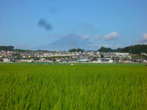 �G�݁��e�n�n�c�@�l�d�q�d�m�c�`