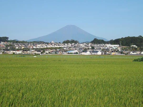 �G�݁��e�n�n�c�@�l�d�q�d�m�c�`