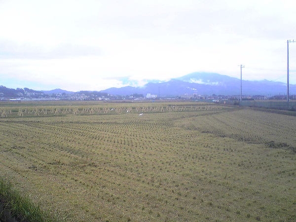 �G�݁��e�n�n�c�@�l�d�q�d�m�c�`