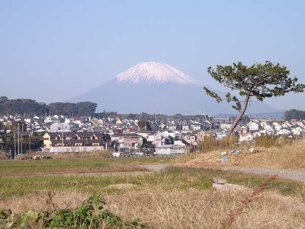 �G�݁��e�n�n�c�@�l�d�q�d�m�c�`