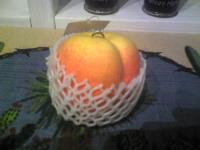 �G�݁��e�n�n�c�@�l�d�q�d�m�c�`